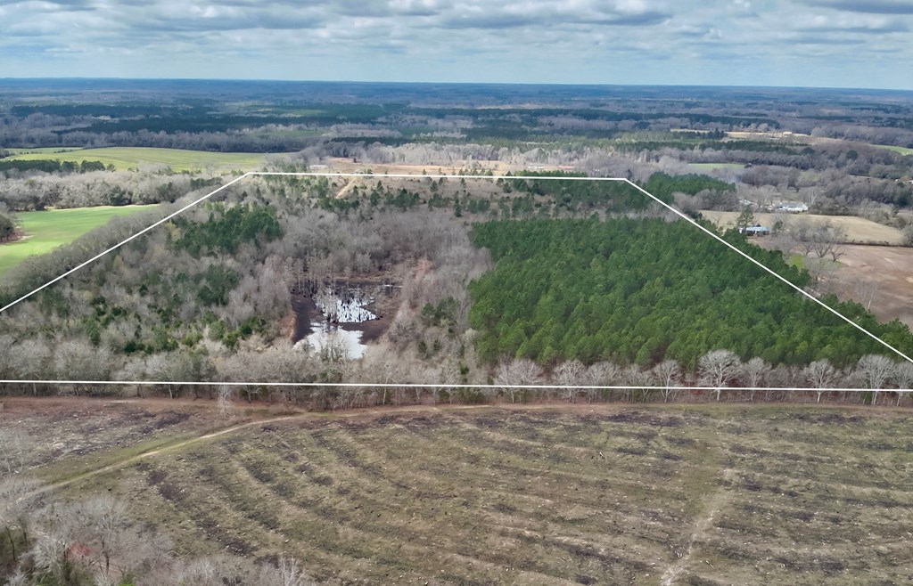 86-acres New Hinson Road Slocomb, AL 36375 - Photo 4 of 15