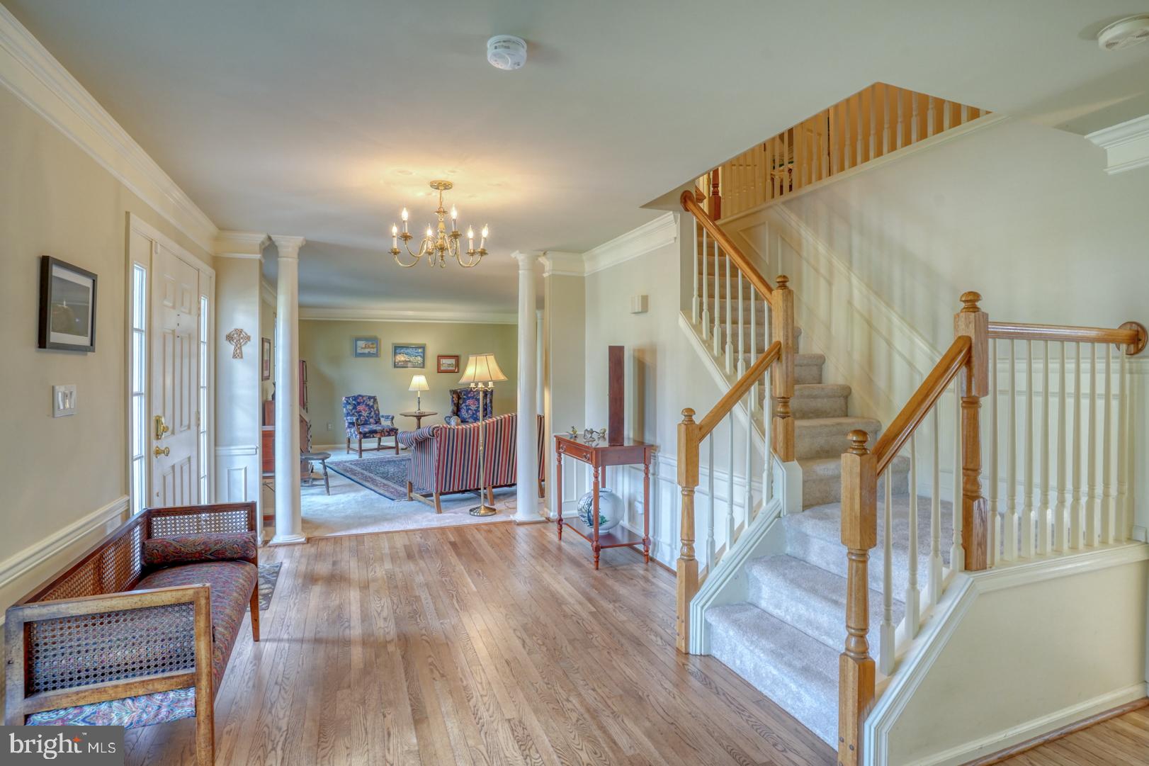 11 Woodpecker Road Newark, DE 19711 - Photo 3 of 35 Foyer w/Hardwood, Crown and Picture Frame Molding