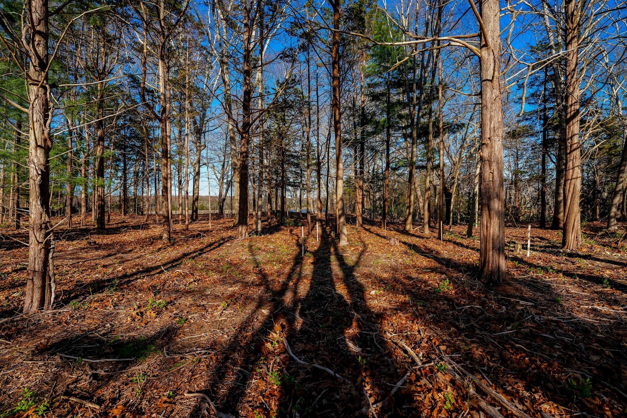 44 Old Harbor Road Westport, MA 02790 - Photo 11 of 26 Gallery Image 11
