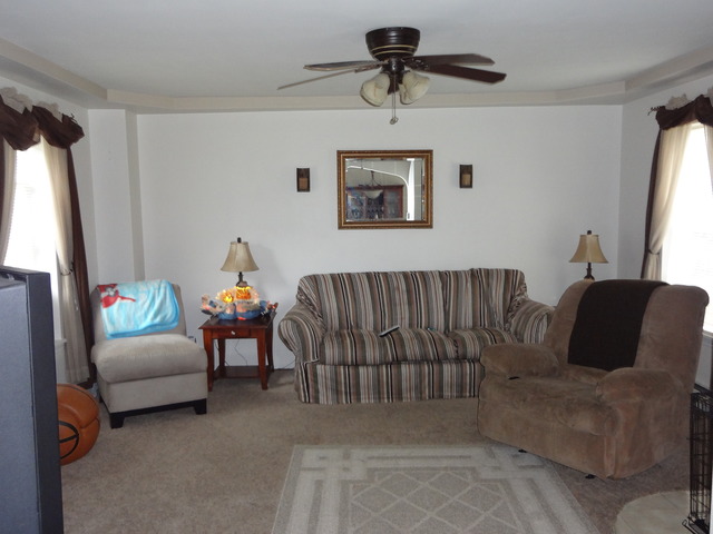 227 West Woodlawn Road New Lenox, IL 60451 - Photo 2 of 18