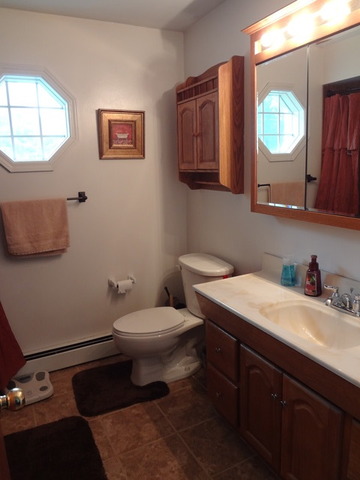 227 West Woodlawn Road New Lenox, IL 60451 - Photo 3 of 18