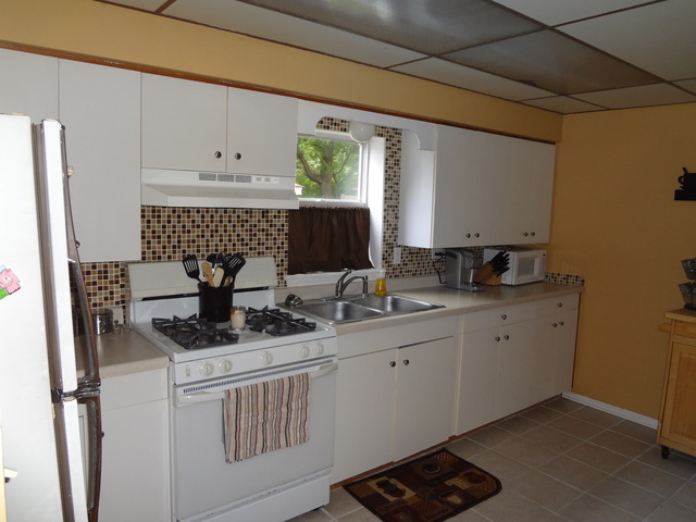 227 West Woodlawn Road New Lenox, IL 60451 - Photo 4 of 18