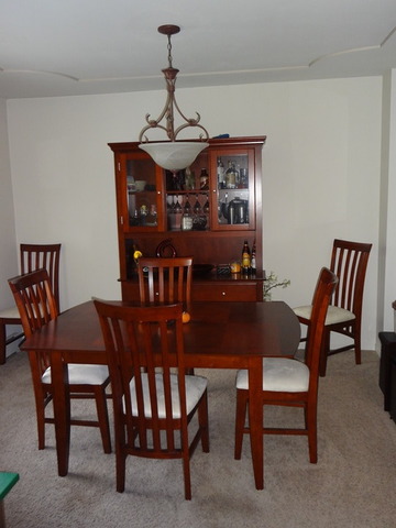 227 West Woodlawn Road New Lenox, IL 60451 - Photo 8 of 18