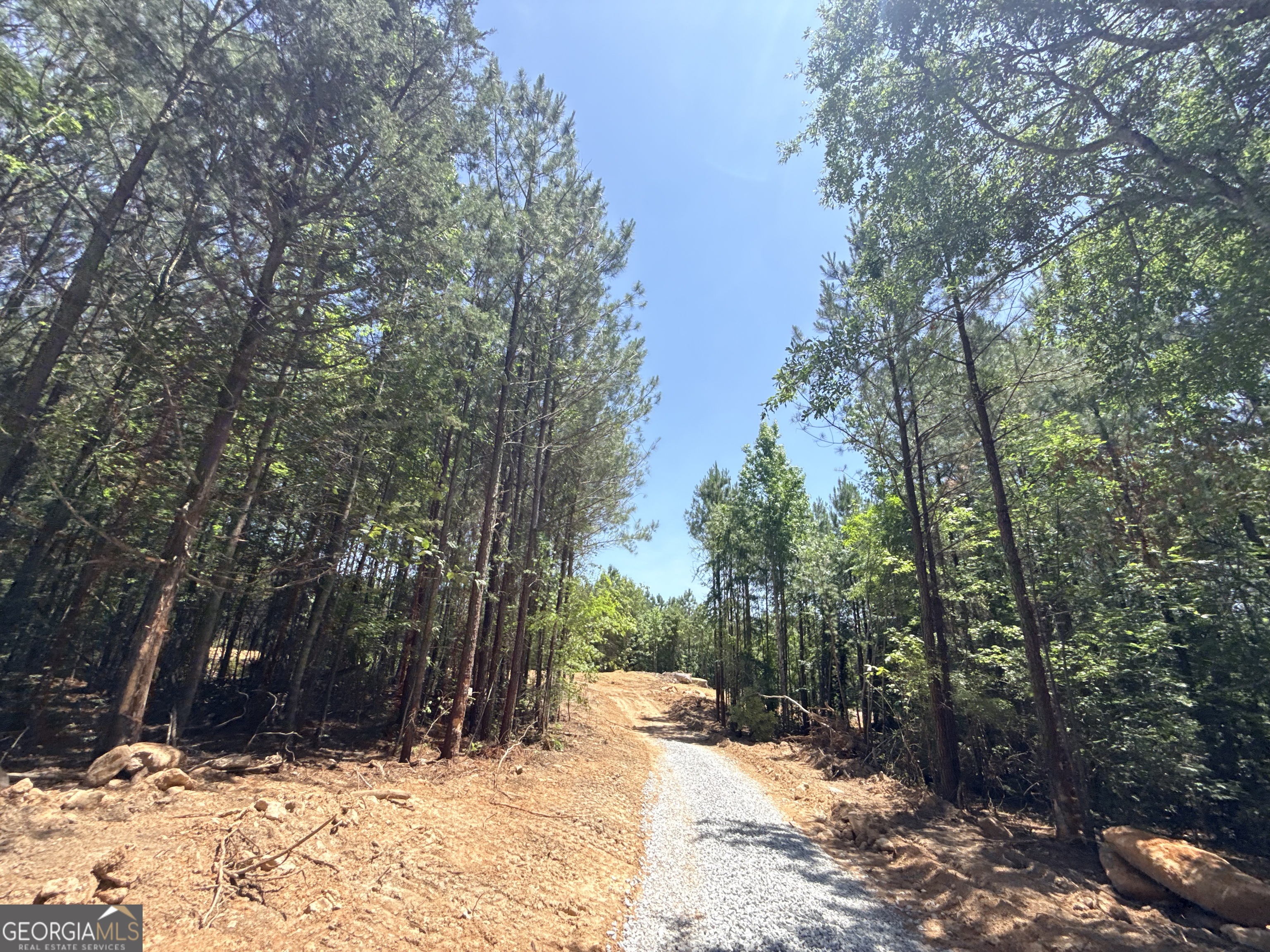 2787 Cedar Creek Road Elberton, GA 30635 - Photo 13 of 88