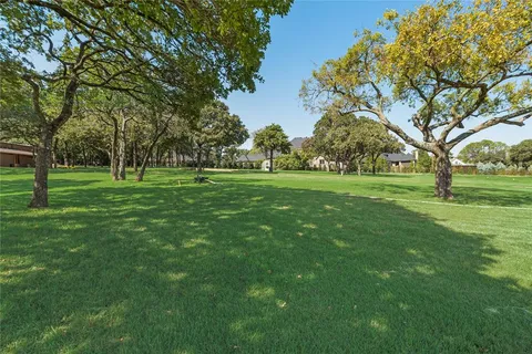 a view of a trees in a park