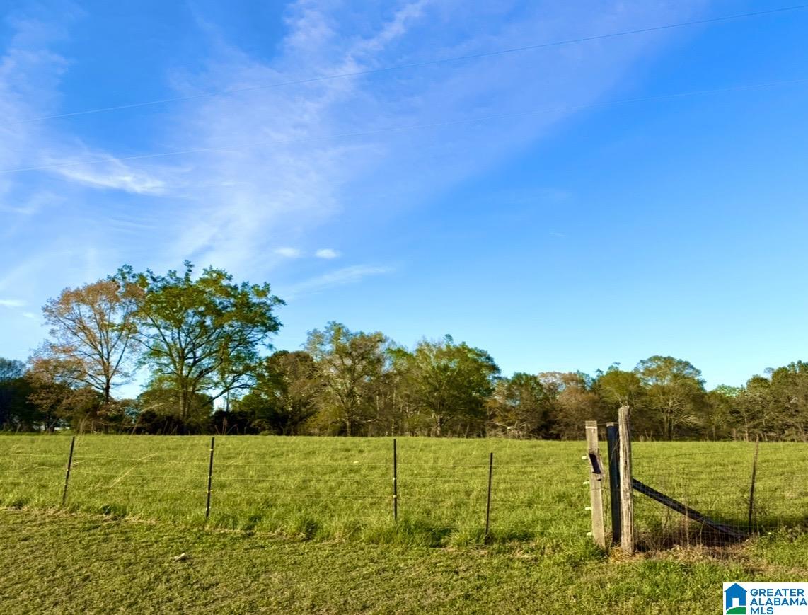 1749 McCollum Church Road Lineville, AL 36266 - Photo 54 of 66