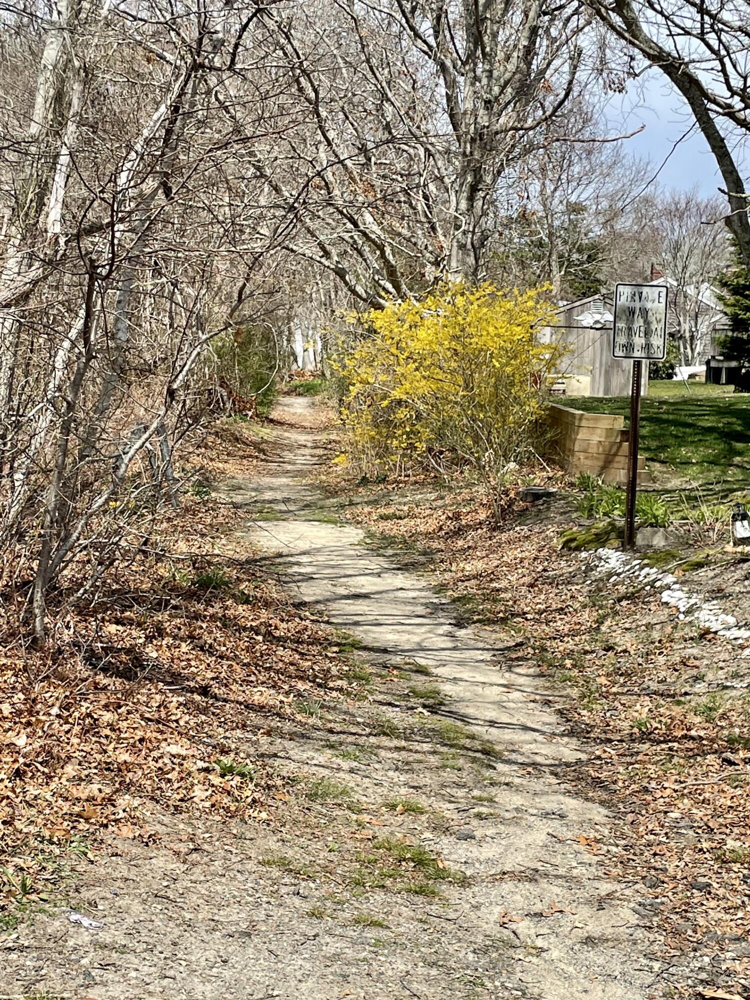 41 Harbor Road West Yarmouth, MA 02673 - Photo 4 of 56 a view of yard with large trees