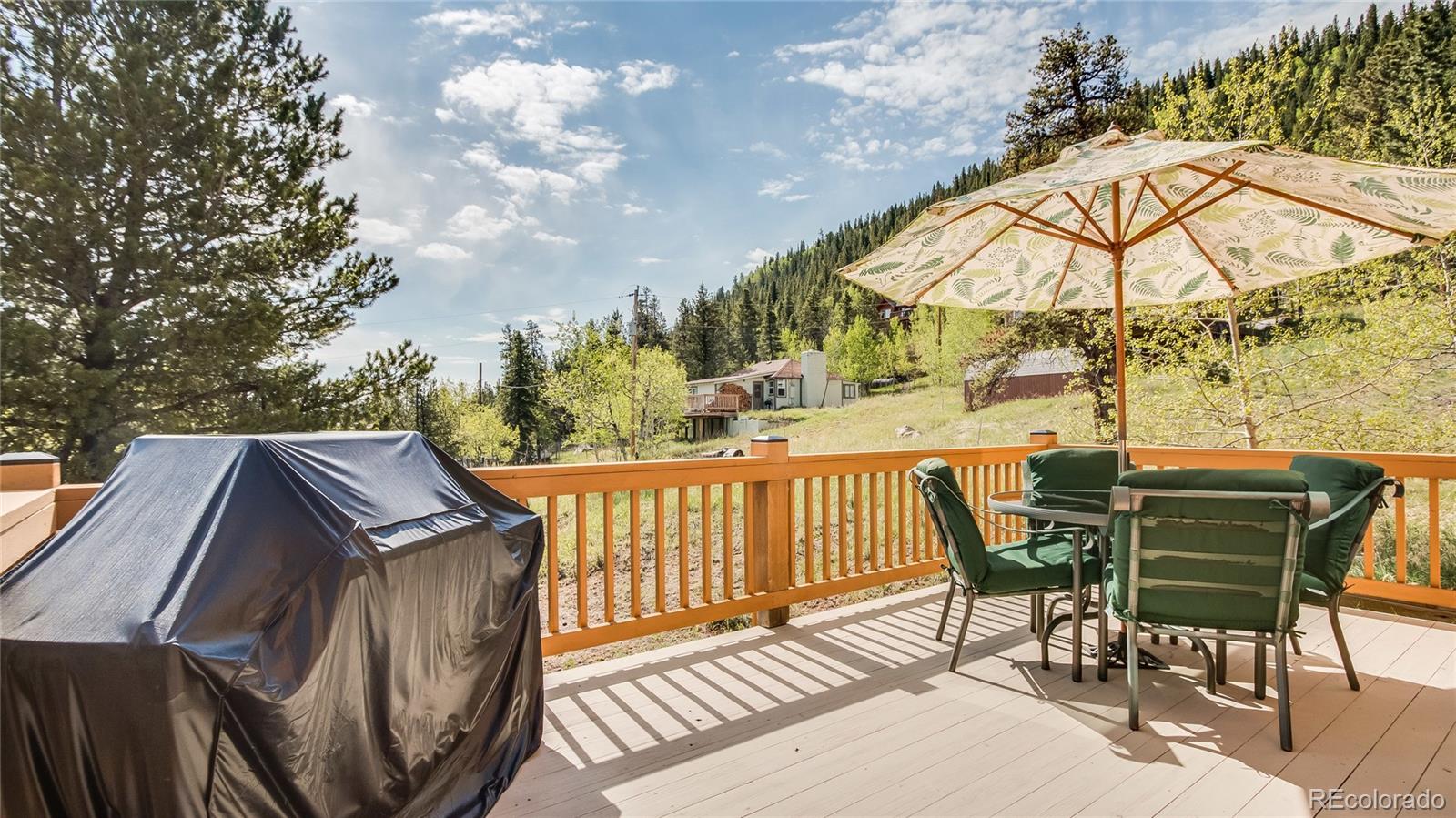 44 Renaud Road Bailey, CO 80421 - Photo 25 of 32 Gallery Image 25