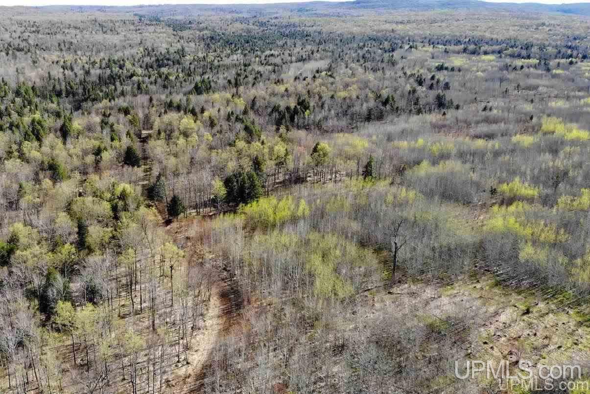 Tbd Off Ravine River Road Skanee, MI 49962 - Photo 8 of 20