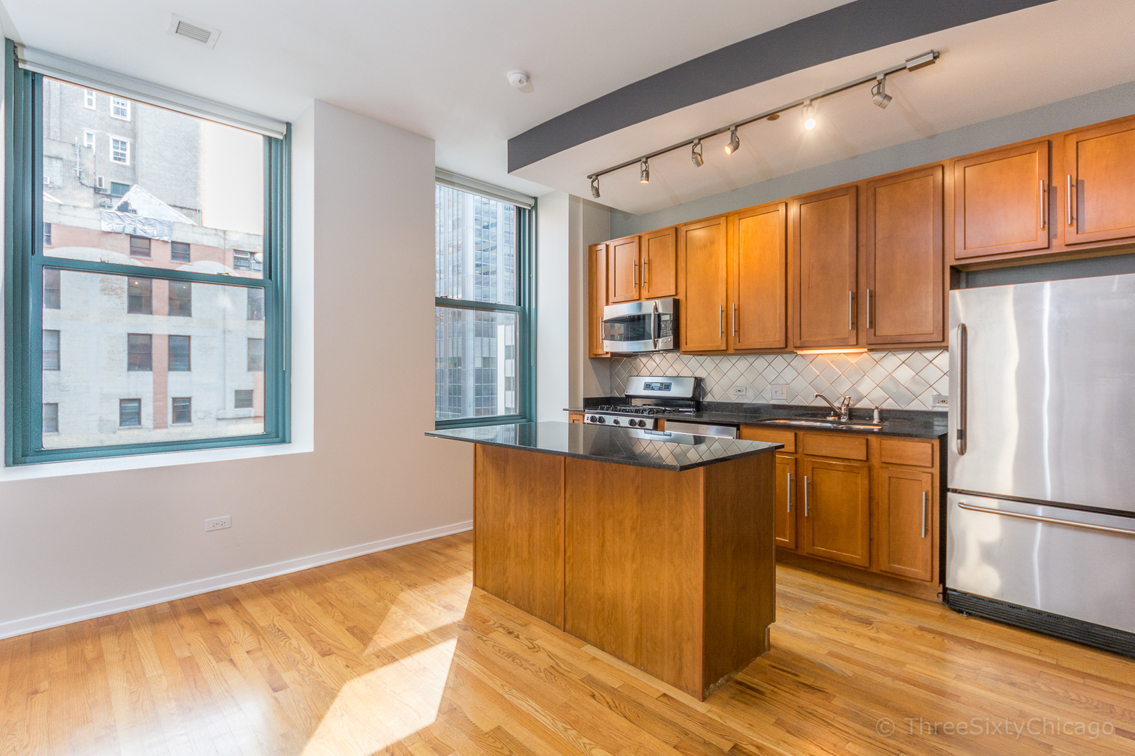 208 West Washington Street, Unit 1010 Chicago, IL 60606 - Photo 9 of 19