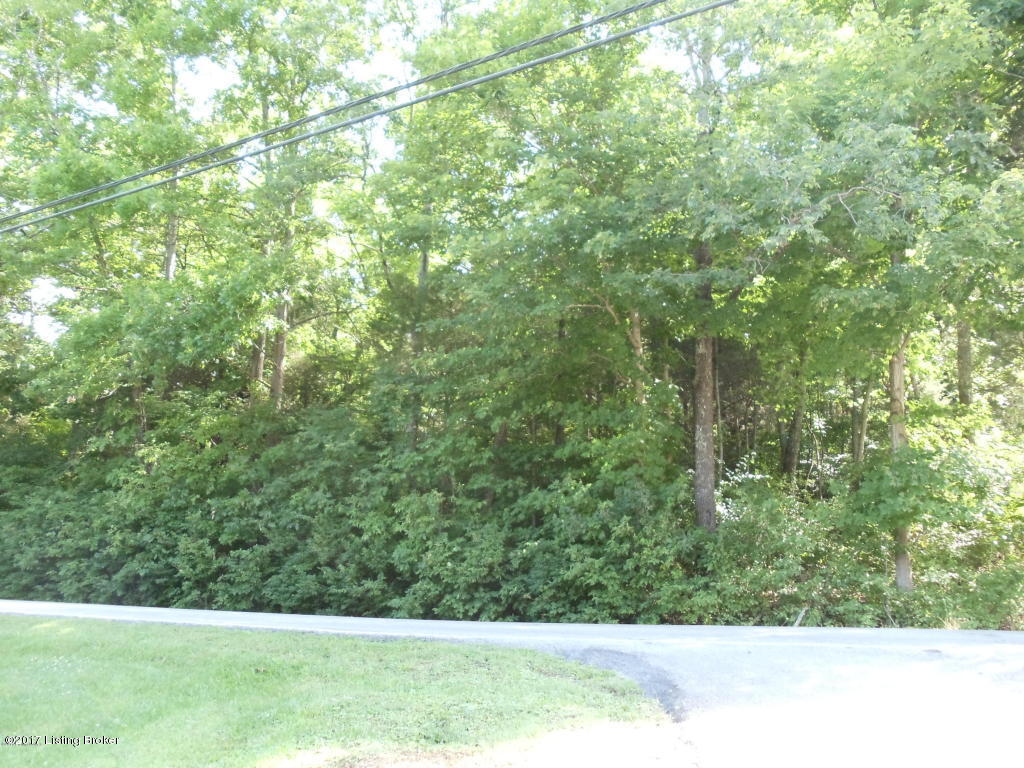 Lot 335 Chenoweth Run Road Louisville, KY 40299 - Photo 1 of 1 20160711183129311169000000-o