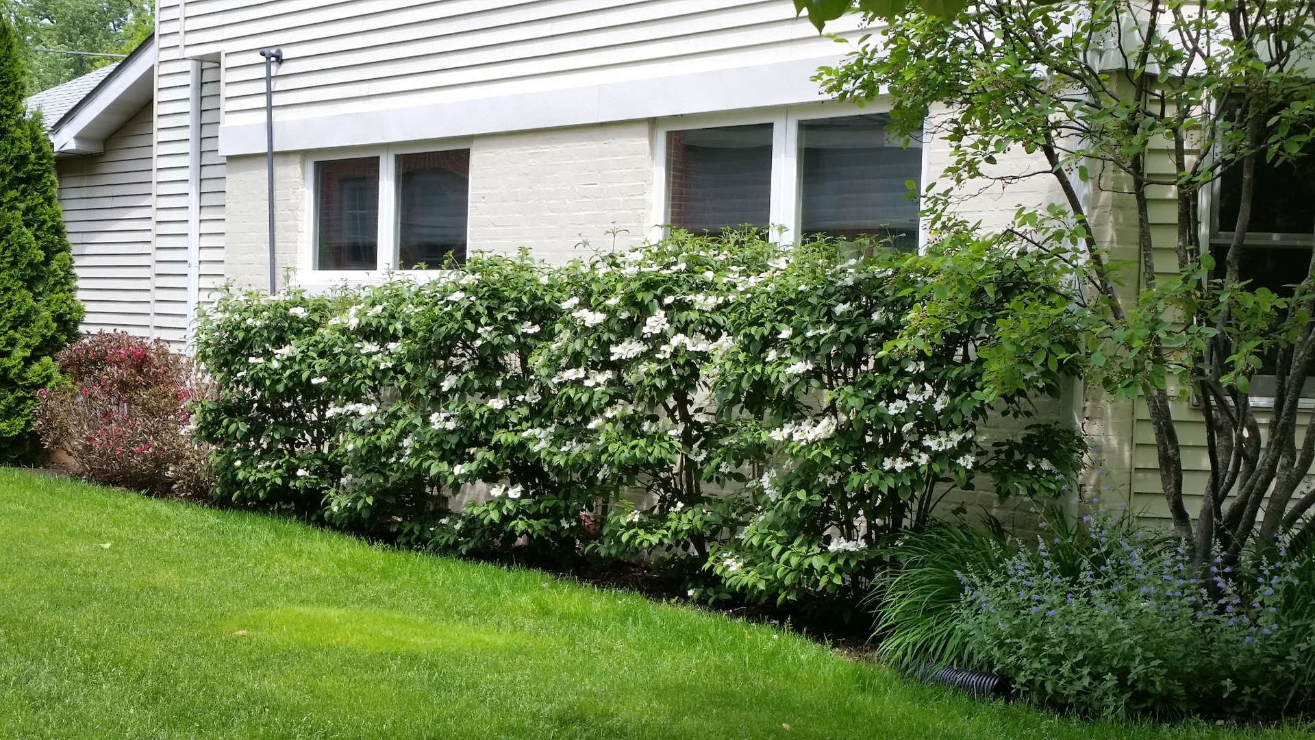 2542 Illinois Road Northbrook, IL 60062 - Photo 25 of 33