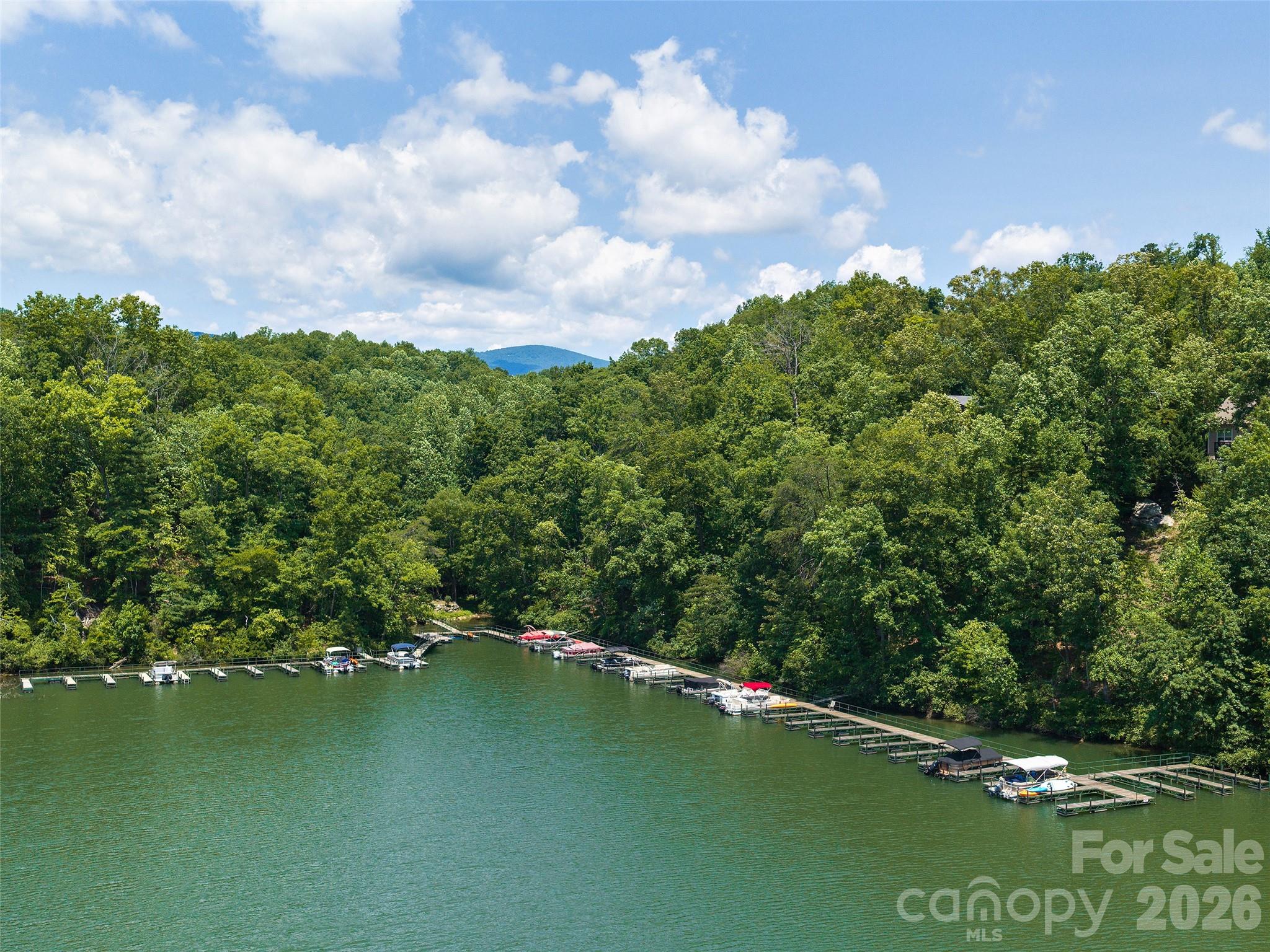 Lot 3 Loggers Pass Ln Mill Spring Mill Spring, NC 28756 - Photo 12 of 13