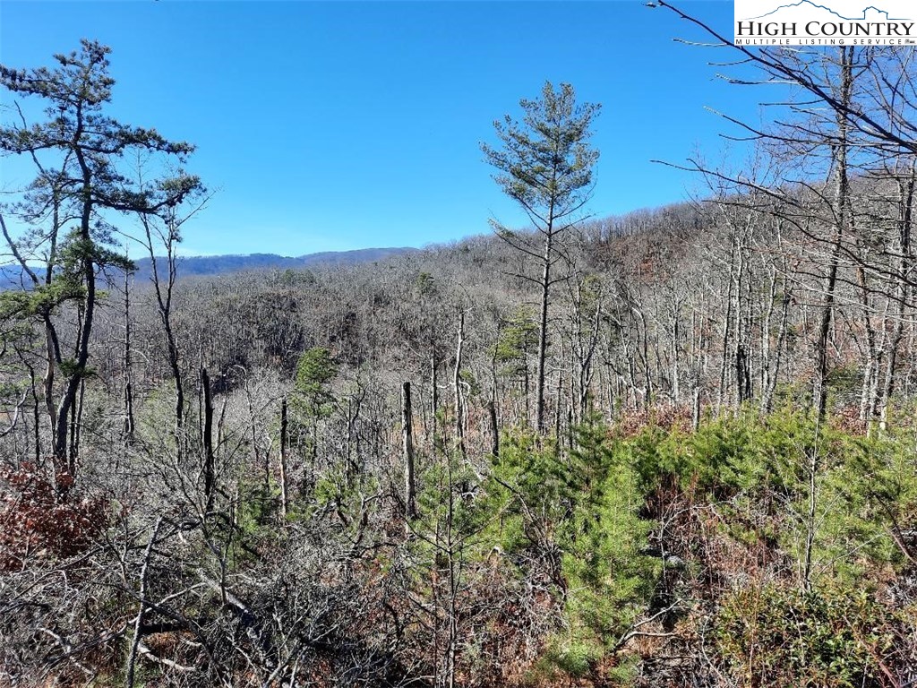 Lot 25 Dugger Firetower Road Boone, NC 28607 - Photo 2 of 5 Gallery Image 2