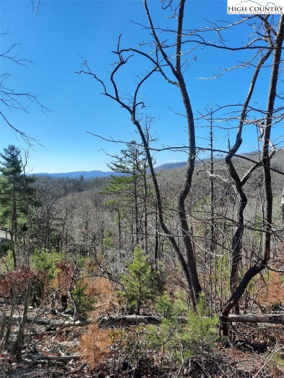 Lot 25 Dugger Firetower Road Boone, NC 28607 - Photo 3 of 5 Gallery Image 3