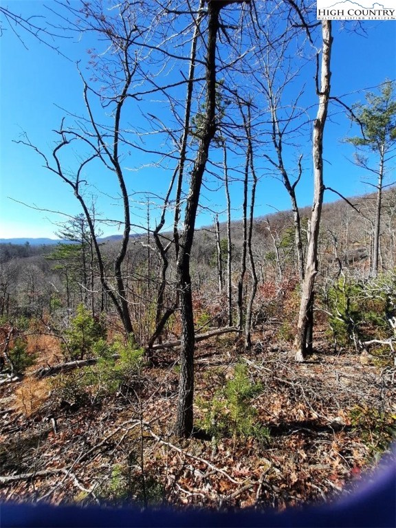 Lot 25 Dugger Firetower Road Boone, NC 28607 - Photo 4 of 5 Gallery Image 4