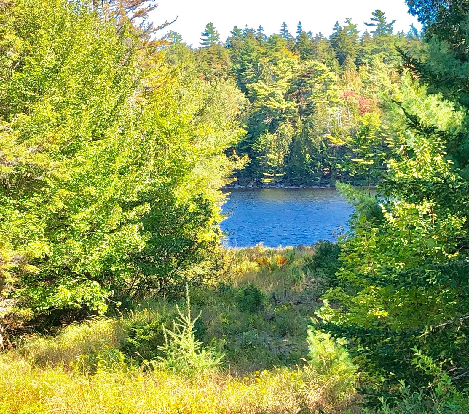 58 Daddy Johnny Road Tremont, ME 04674 - Photo 7 of 52 View from sunroom