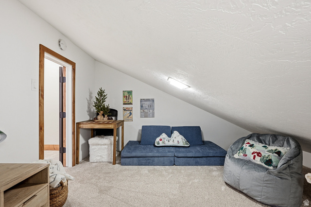 407 South Vasels Road, Unit 51 Brian Head, UT 84719 - Photo 33 of 46 Bonus area