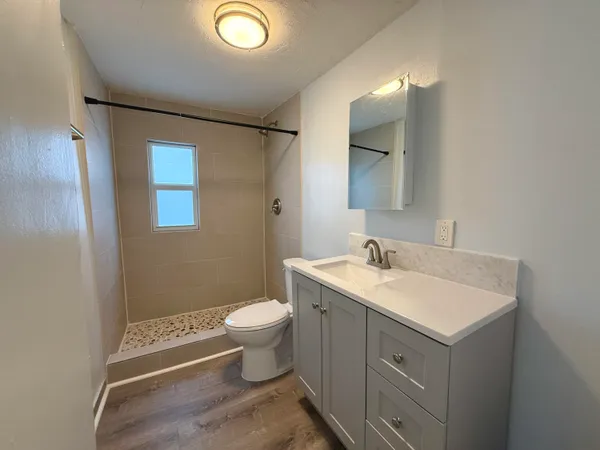 a bathroom with a sink toilet a mirror and vanity