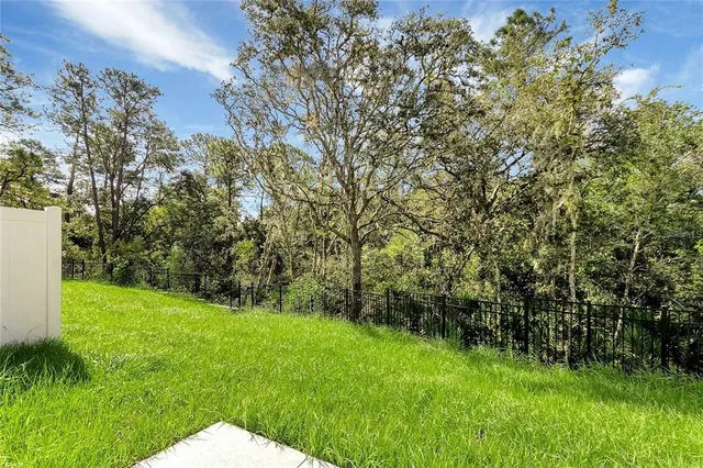 a view of a yard with a tree