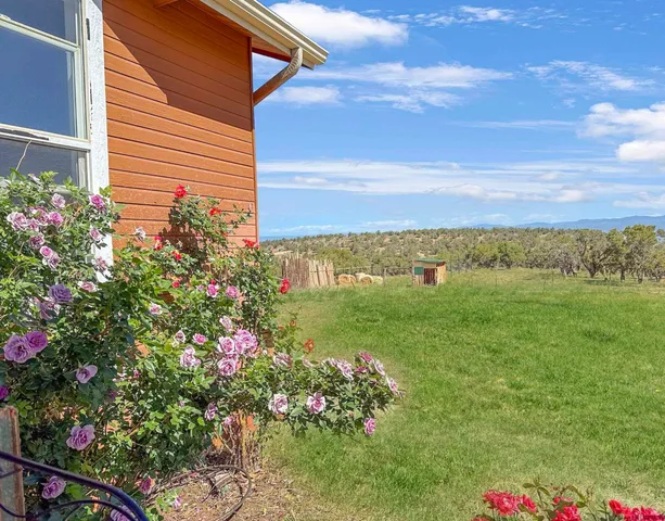 a view of a garden with flowers and flowers