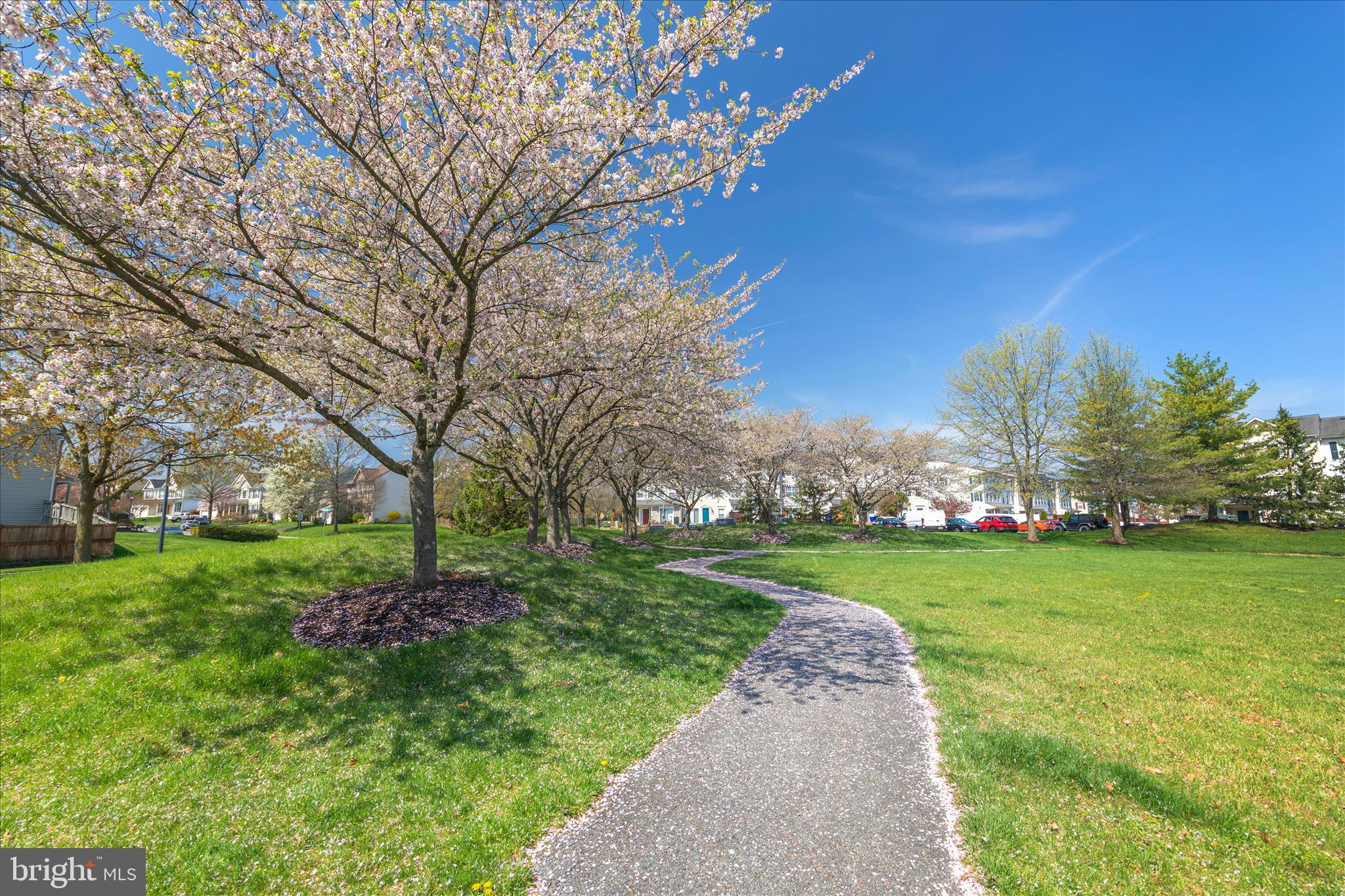 4840 Marsden Place Frederick, MD 21703 - Photo 44 of 46 a view of a park with a large trees