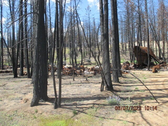 Lot - Black Pine Road Bly, OR 97622 - Photo 3 of 12 IMG_1670