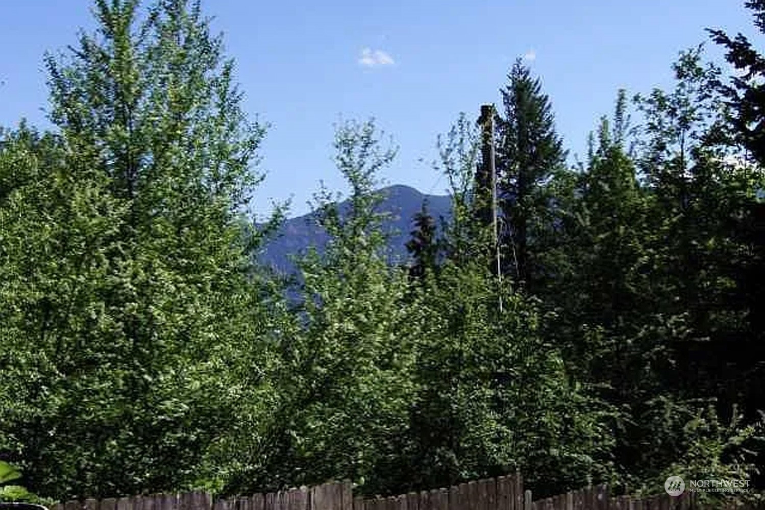 1551 East Loop Road Stevenson, WA 98648 - Photo 16 of 19 a view of a tree in a garden