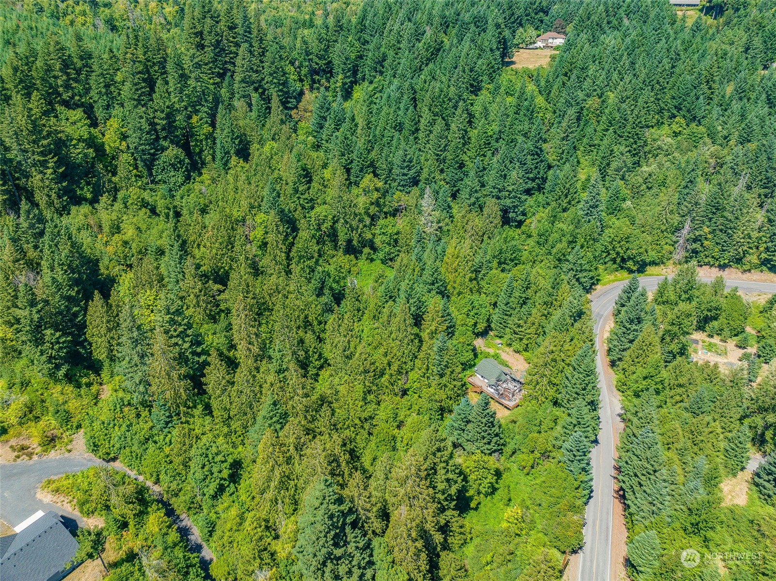 1551 East Loop Road Stevenson, WA 98648 - Photo 18 of 19 a view of a lush green forest with lawn chairs