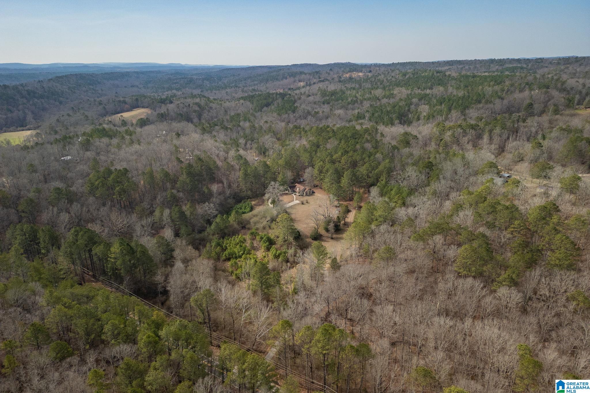 2050 Argo Margaret Road Odenville, AL 35120 - Photo 52 of 61