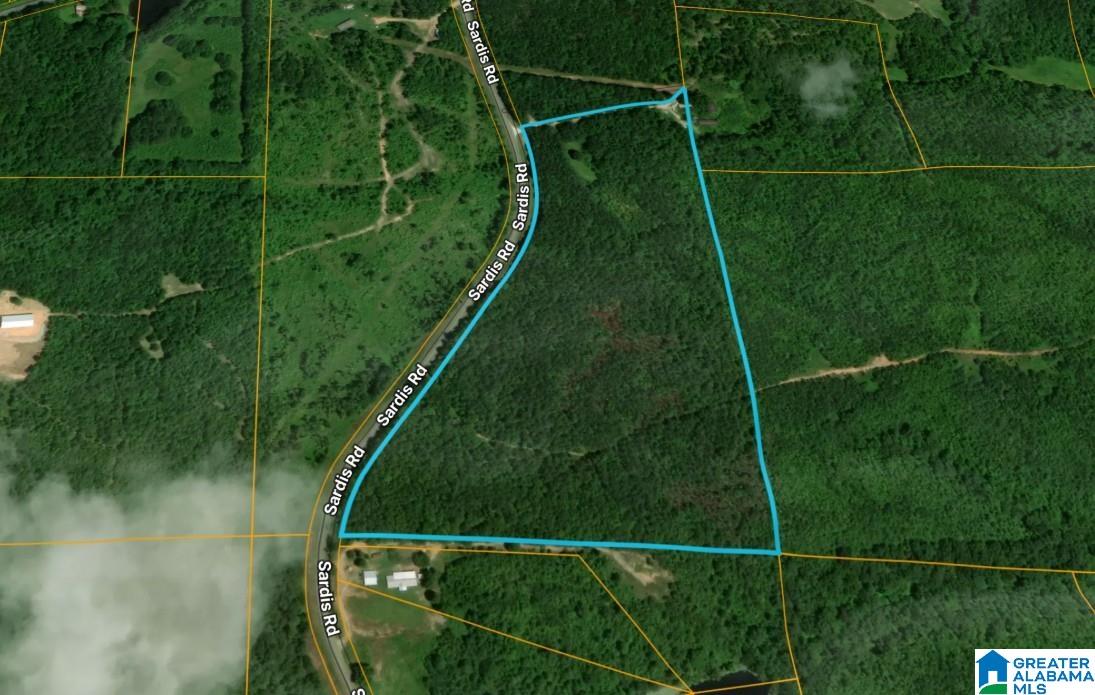 0 Bluff Springs Road, Unit X Ashland, AL 36251 - Photo 1 of 9