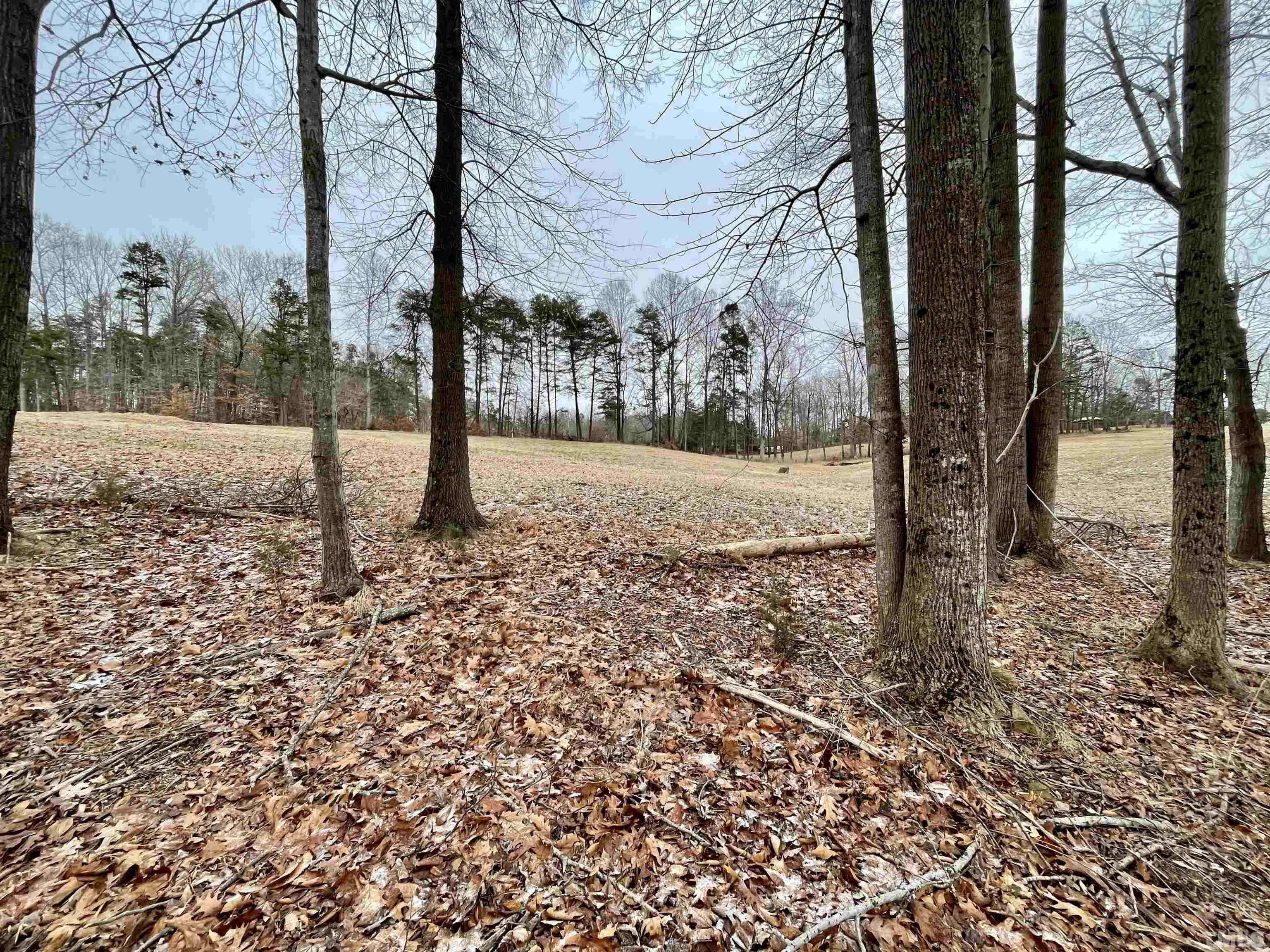 155 Club House Road Roxboro, NC 27574 - Photo 3 of 13 a view of a yard with trees