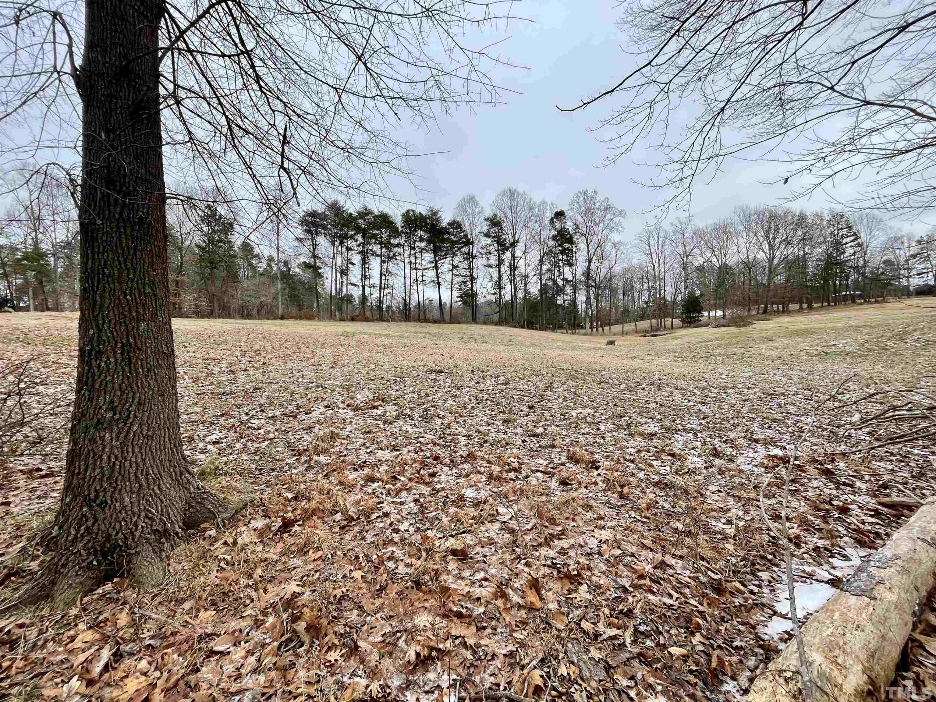 155 Club House Road Roxboro, NC 27574 - Photo 5 of 13 a view of a yard with trees