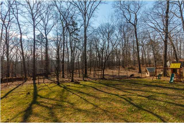 9915 Blue Springs Road Harrison, TN 37341 - Photo 34 of 36 Additional Photo