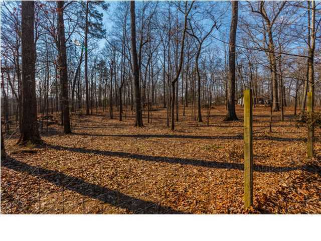 9915 Blue Springs Road Harrison, TN 37341 - Photo 36 of 36 Additional Photo