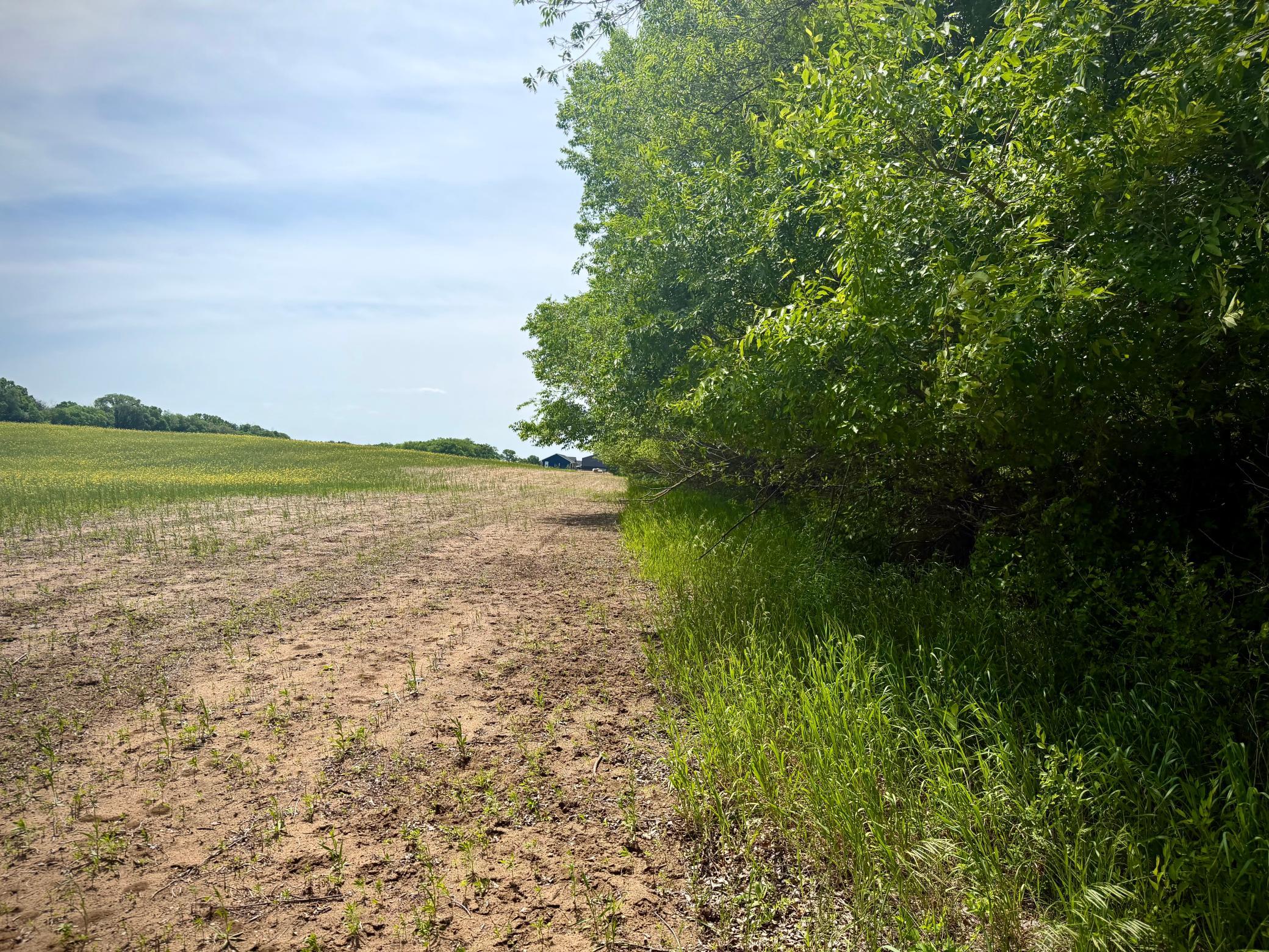 Tbd-10-ac 87th Street Southeast Becker, MN 55308 - Photo 16 of 23