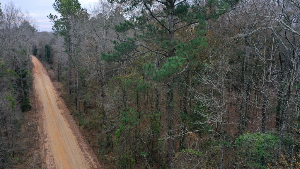15.05 Pera Road Samson, AL 36477 - Photo 9 of 29