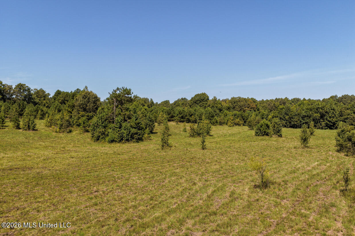 5056 Bethesda Road Crystal Springs, MS 39059 - Photo 10 of 48 DJI_20260818111550_0694_D