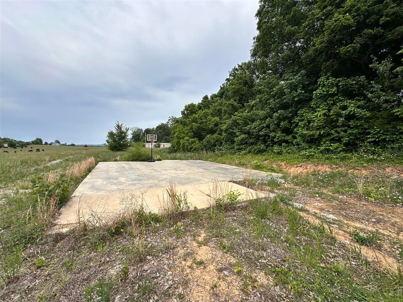 0 Mt Zion Road Bowling Green, KY 42101 - Photo 10 of 16 Gallery Image 10