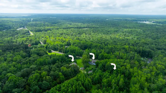 a view of a bunch of trees and bushes
