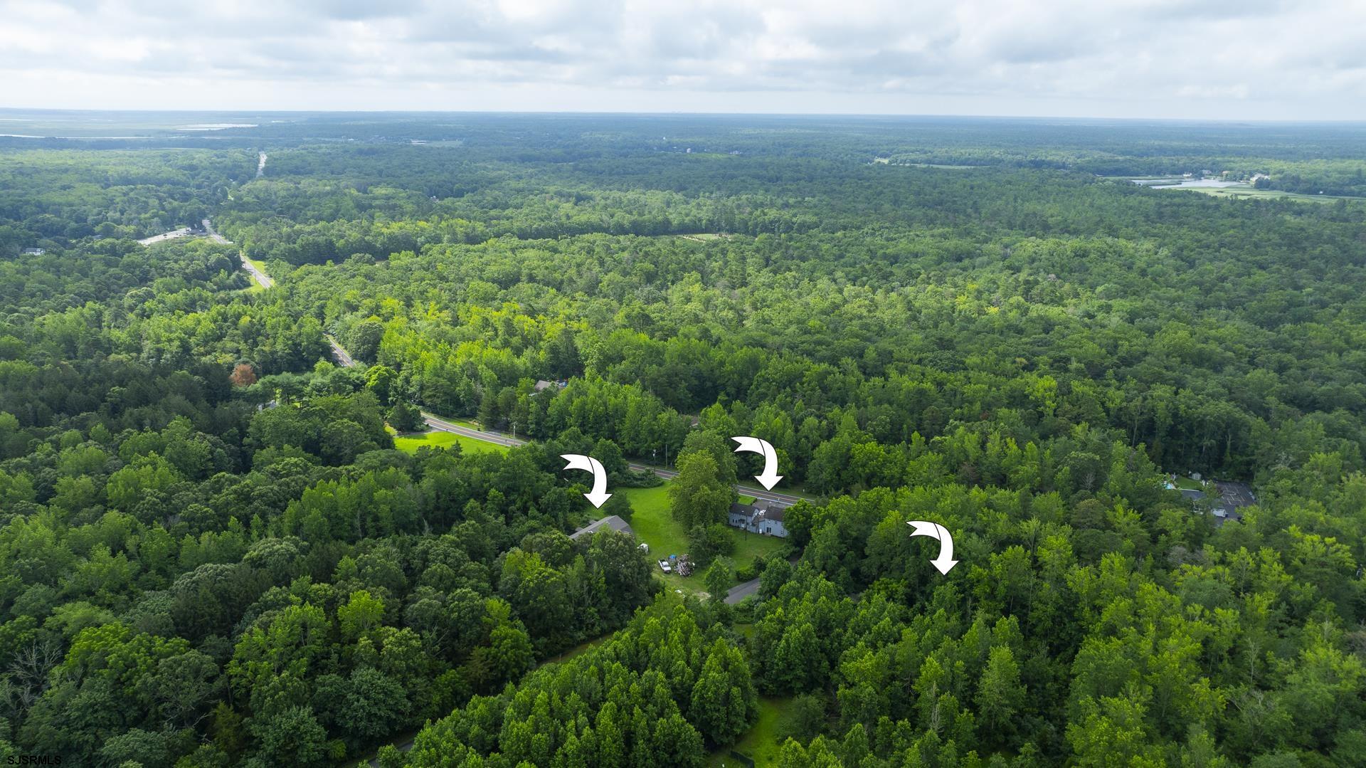126 Buck Hill Road Corbin City, NJ 08270 - Photo 6 of 10 a view of a bunch of trees and bushes