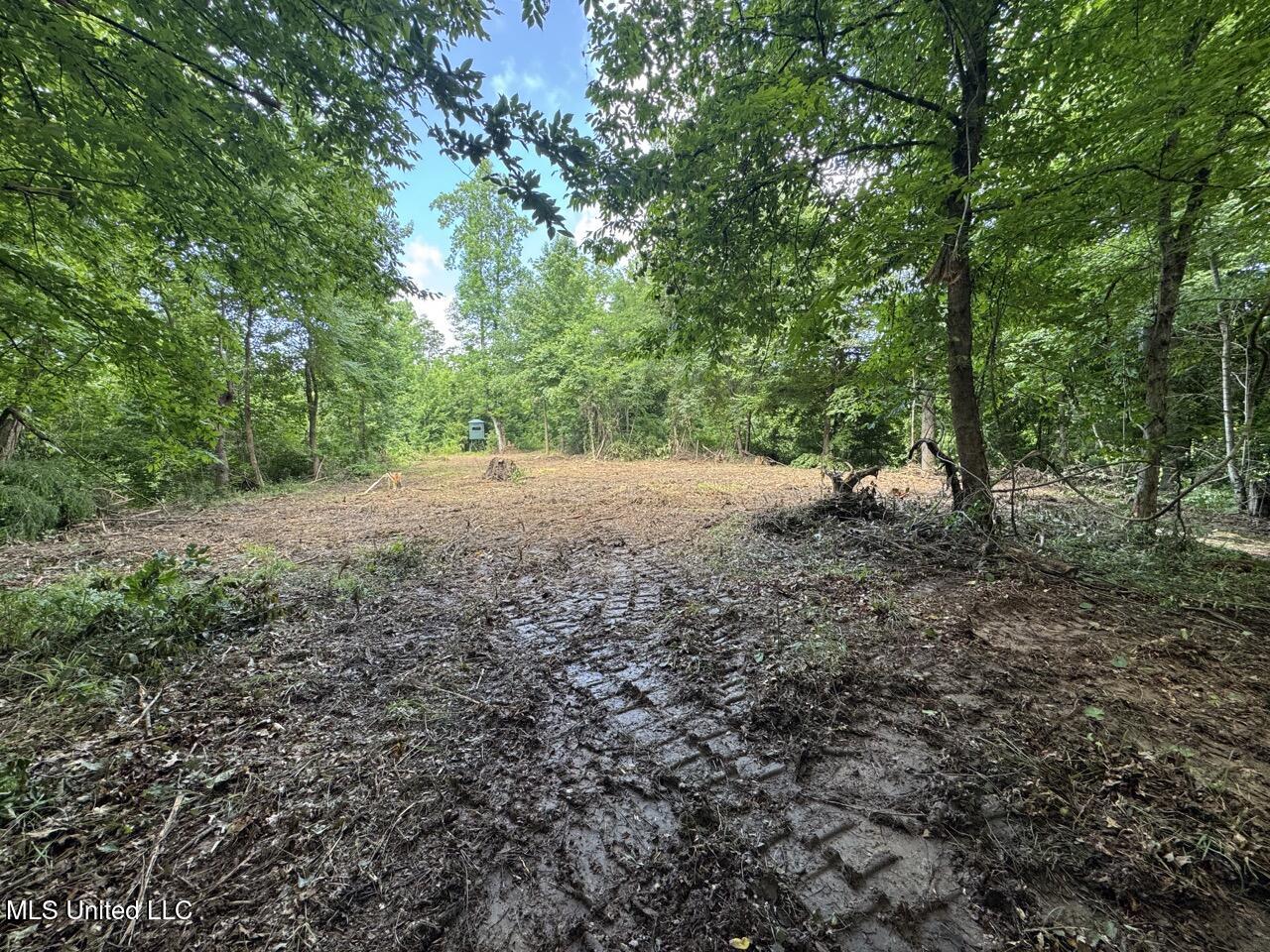 547 Tate Road Natchez, MS 39120 - Photo 18 of 24 IMG_6619 Large