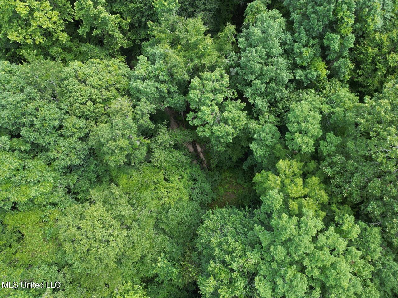 547 Tate Road Natchez, MS 39120 - Photo 3 of 24 DJI_0954 Large