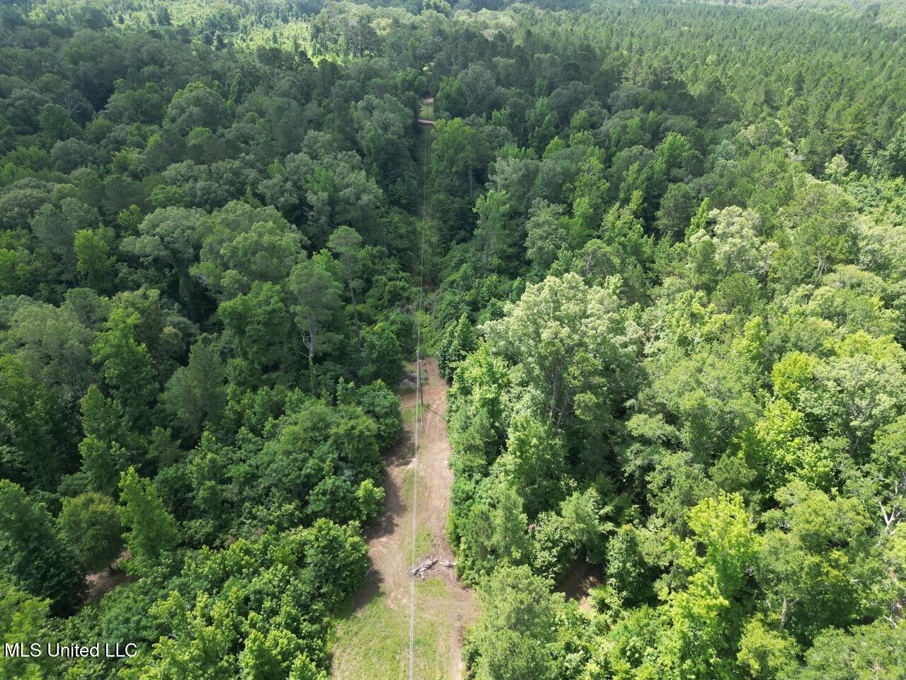 547 Tate Road Natchez, MS 39120 - Photo 4 of 24 DJI_0955 Large