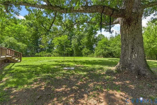 a view of a garden with a tree