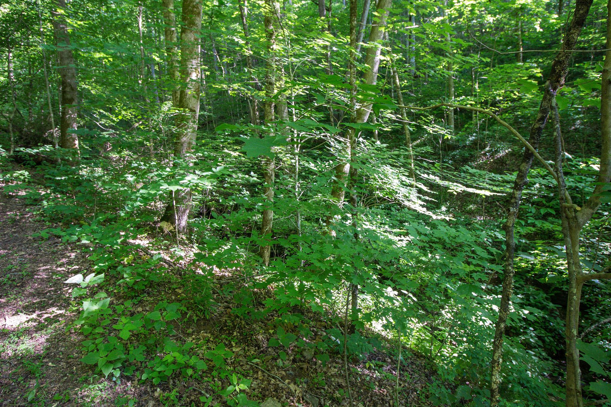 19 Rolling Acres Road Smithville, TN 37166 - Photo 9 of 17 Gallery Image 9