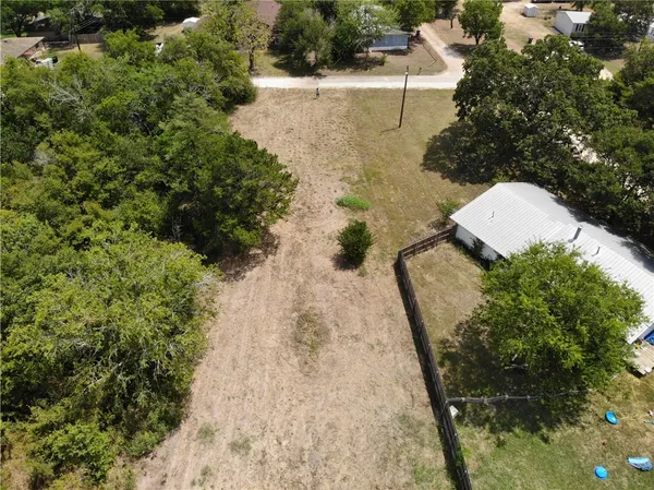 a view of a yard with plants