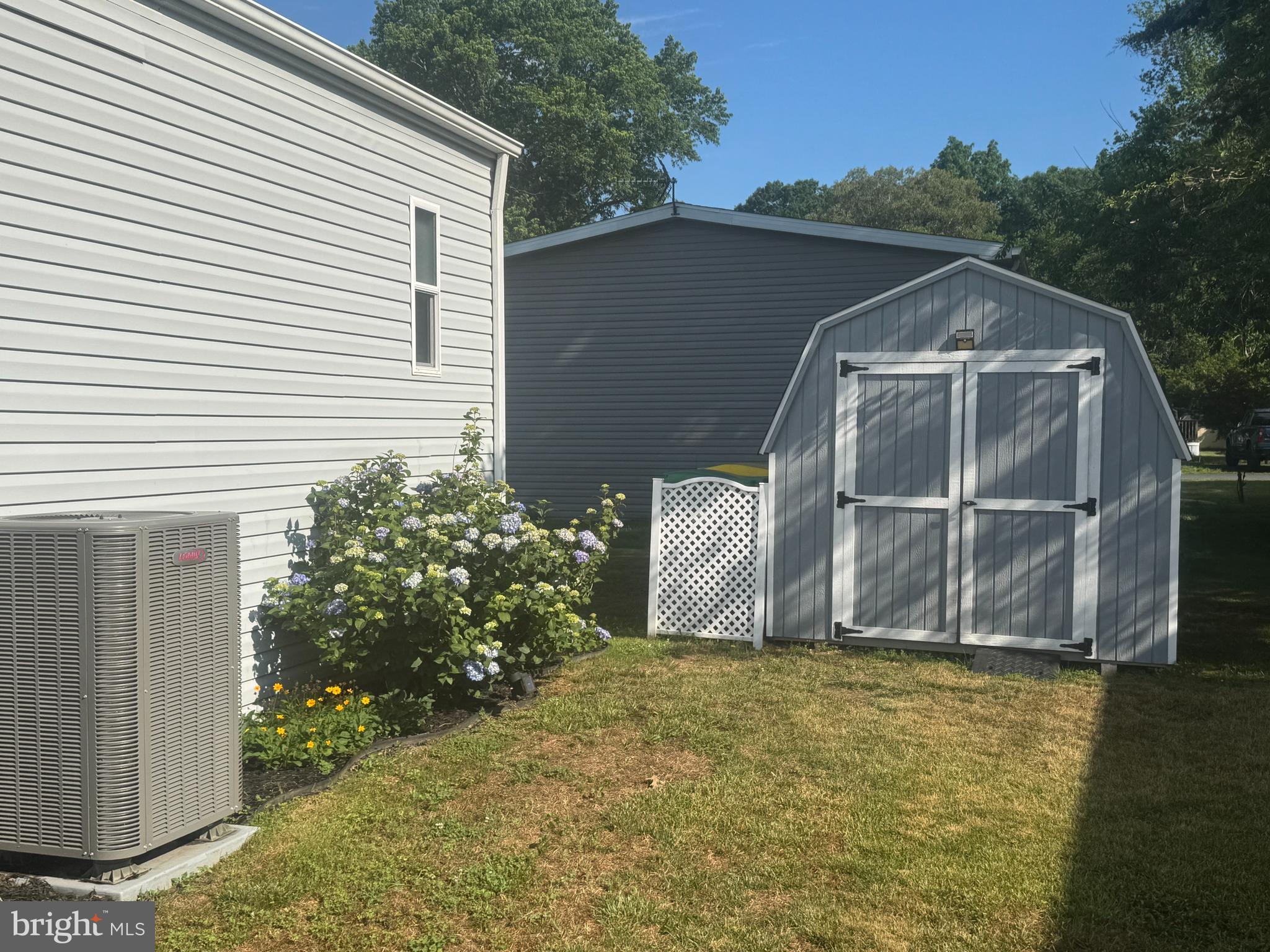 31623 Siham Road Lewes, DE 19958 - Photo 4 of 14 Shed