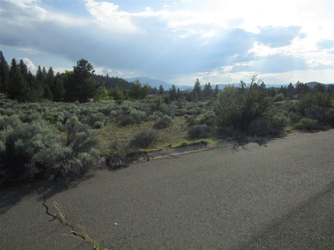 6030 Big Springs Road Weed, CA 96094 - Photo 22 of 25 Gallery Image 22
