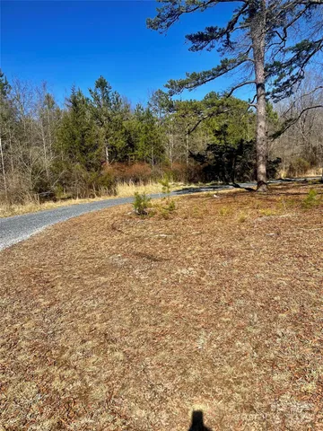 a view of a yard with a bench